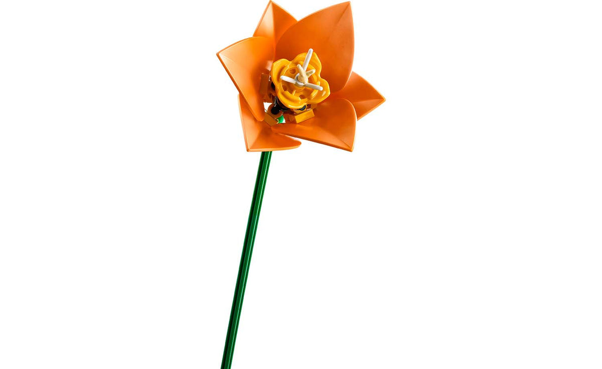LEGO Botanicals Tulip Bouquet | 11501